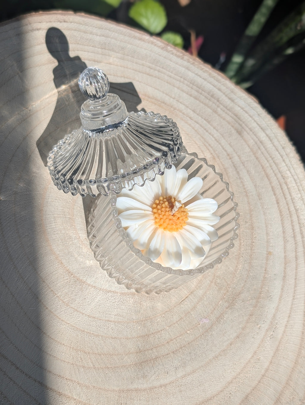 Schmuckkerze - Daisy